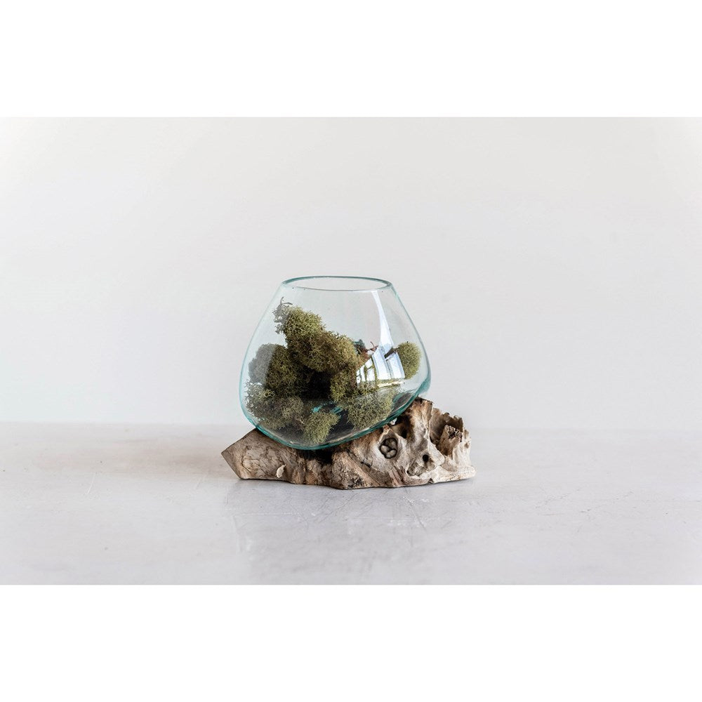 Glass Planter & Wood Base