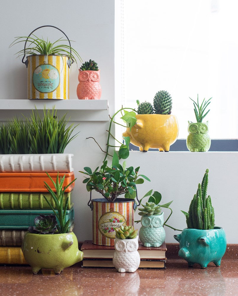 Terra-Cotta Pig Planter