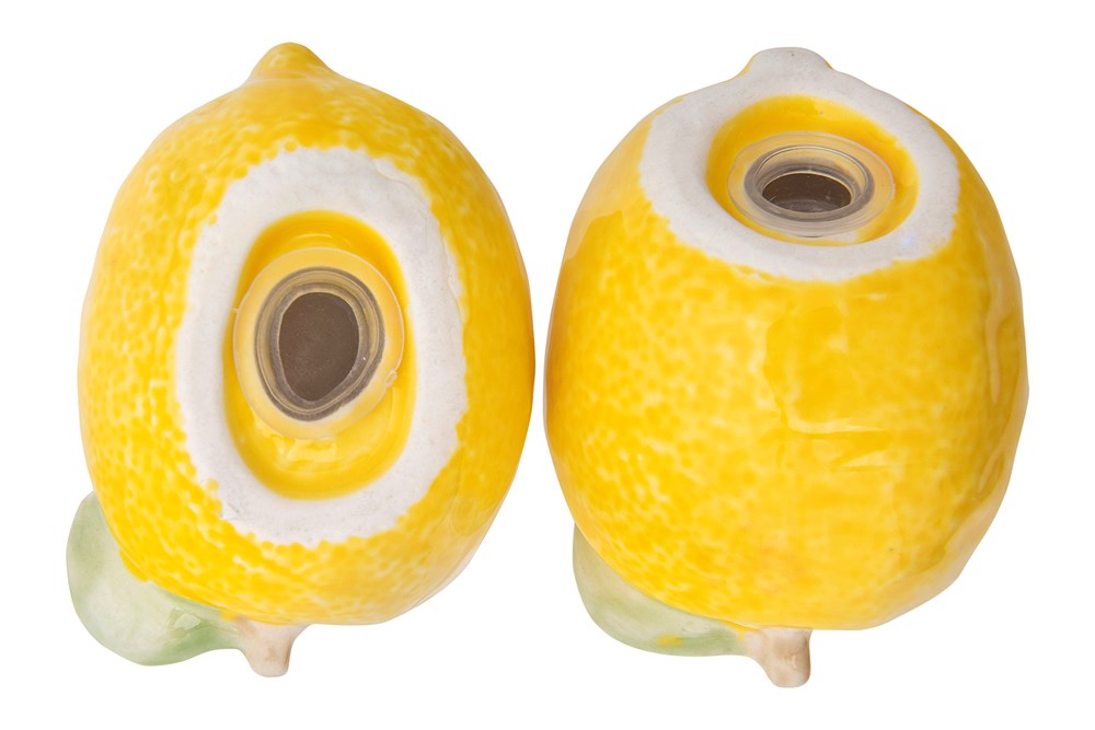 Lemon Salt & Pepper Shaker